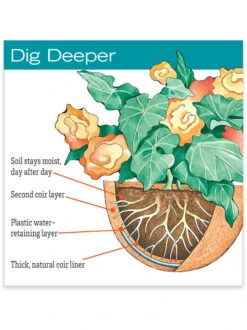 AquaSav™ Replacement Liners, Set Of 3 -Garden Supply Store hiw 38 583