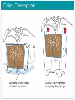 Stoneware Self-Watering Windowsill Planters, Set Of 2 11 Stoneware Self-Watering Windowsill Planters, Set Of 2 -Garden Supply Store hiw 8593943 jpg