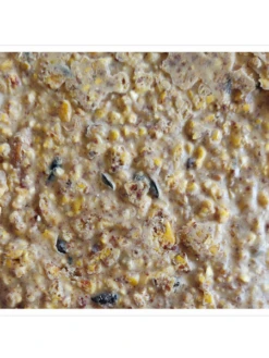 Woodpecker Almond Suet, 11.75 OZ, 12 Pack -Garden Supply Store webimage 8613691 04V